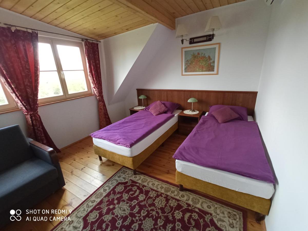 Bed and Breakfast Dwor Strzyzew Zelazowa Wola Екстер'єр фото