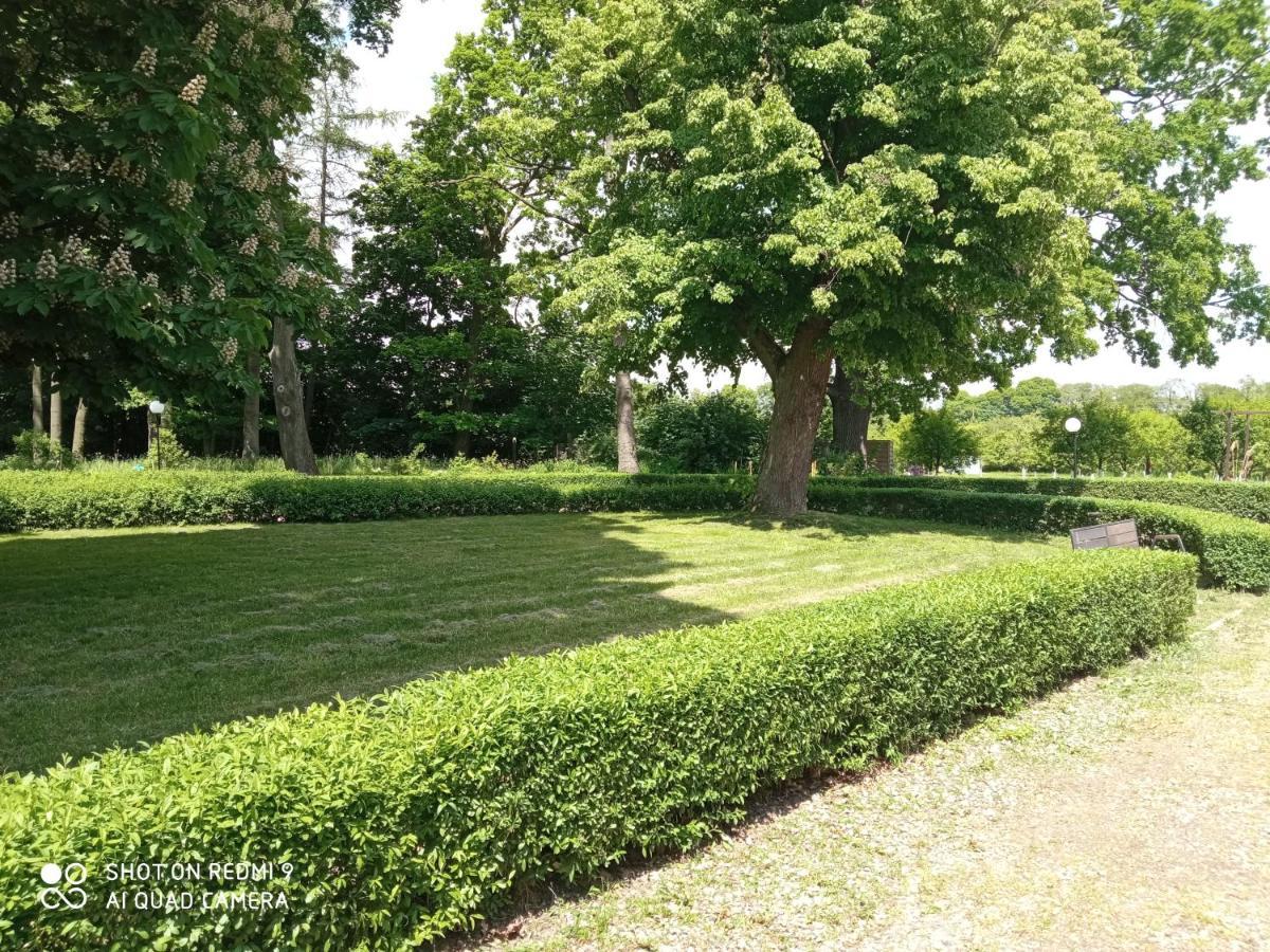 Bed and Breakfast Dwor Strzyzew Zelazowa Wola Екстер'єр фото