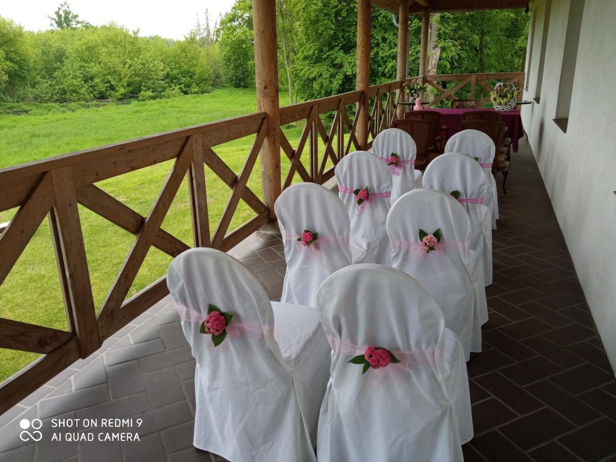 Bed and Breakfast Dwor Strzyzew Zelazowa Wola Екстер'єр фото