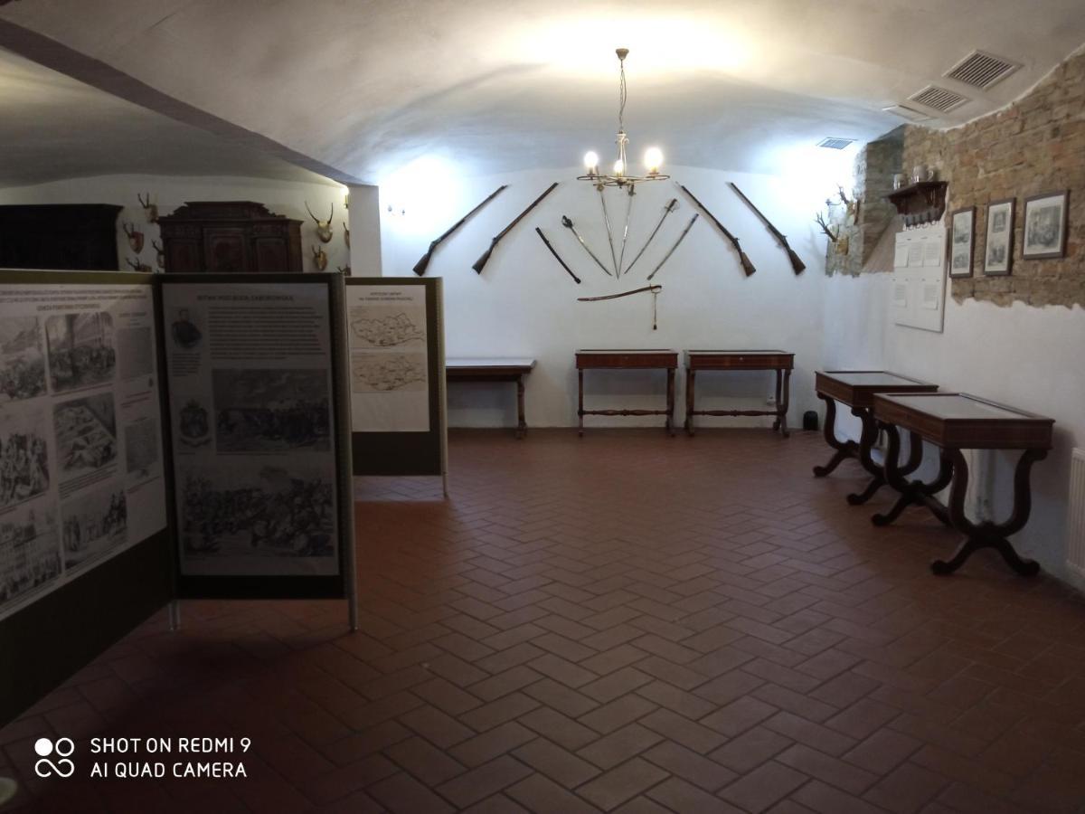 Bed and Breakfast Dwor Strzyzew Zelazowa Wola Екстер'єр фото
